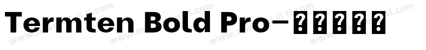 Termten Bold Pro字体转换